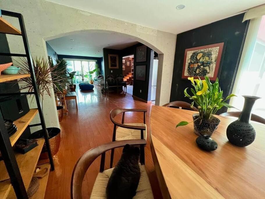 Luxurious Mid Century Modern Folk Art Home Mexico by Eksteriør bilde